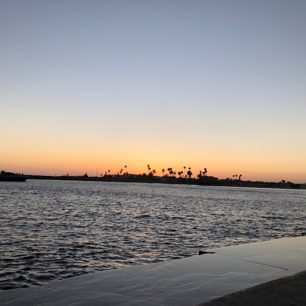 Meet your Posher, Piper